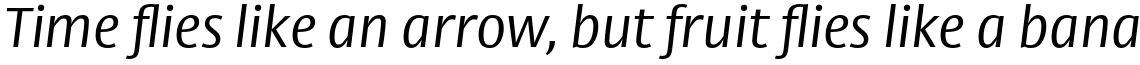 Big Vesta Std Light Italic