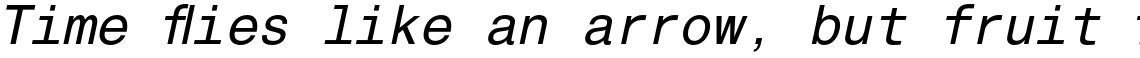 Helvetica Monospaced Pro Italic