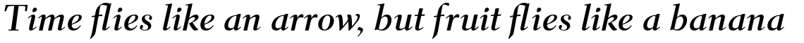 Parkinson Electra Pro Bold Italic
