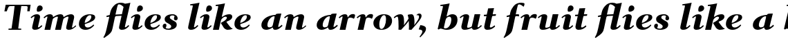 Parkinson Electra Pro Heavy Italic