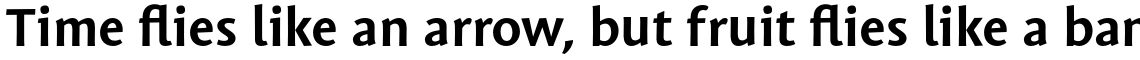 Mantika Sans Pro Bold