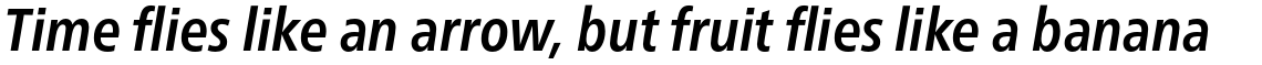 Neue Frutiger Pro Cyrillic Condensed Bold Italic