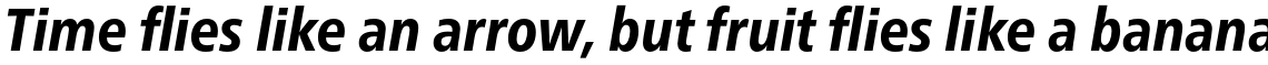 Neue Frutiger Pro Cyrillic Condensed Heavy Italic