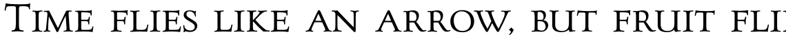 Goudy Pro Forum