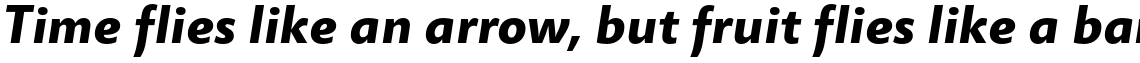 Miramonte Pro Bold Italic