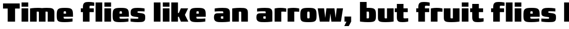 Francker Pro Condensed Extra Black