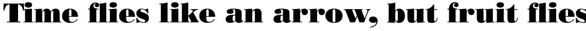 Bodoni Poster Std Regular