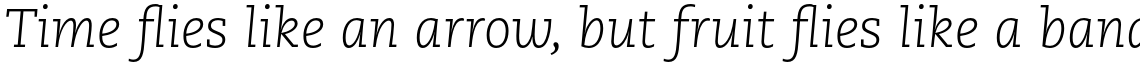 PMN Caecilia Std 46 Light Italic