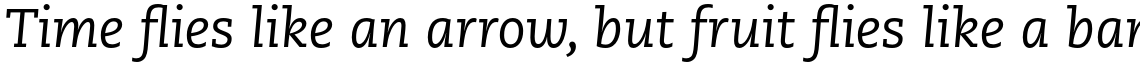 PMN Caecilia Std 56 Italic