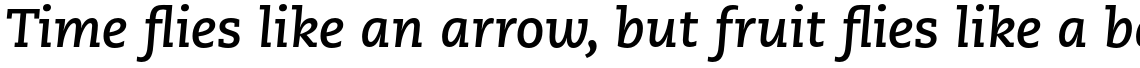 PMN Caecilia Std 76 Bold Italic