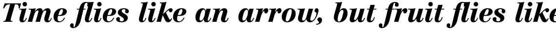 Linotype Centennial Std 96 Black Italic