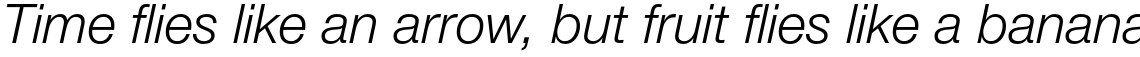Neue Helvetica Std 46 Light Italic