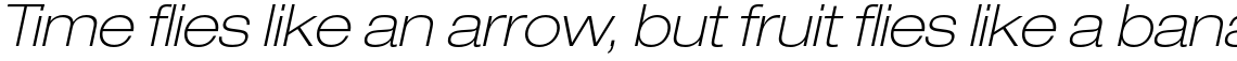 Neue Helvetica Std 33 Thin Extended Oblique