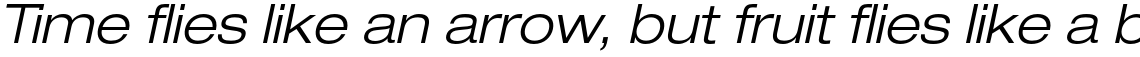 Neue Helvetica Std 43 Light Extended Oblique