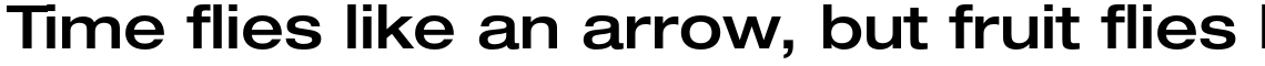 Neue Helvetica Std 63 Medium Extended