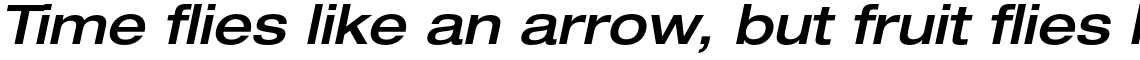 Neue Helvetica Std 63 Medium Extended Oblique