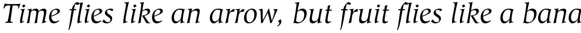 Hiroshige Std Book Italic
