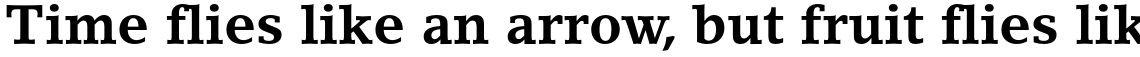 LinoLetter Std Bold