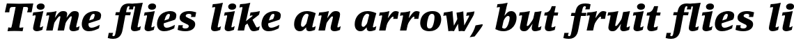 LinoLetter Std Black Italic