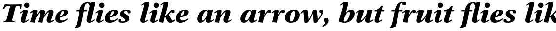 New Aster Std Black Italic