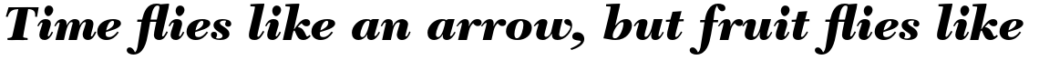 New Caledonia Std Black Italic