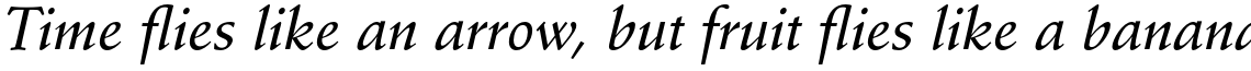 Stempel Schneidler Std Medium Italic