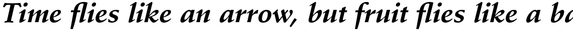 Stempel Schneidler Std Bold Italic
