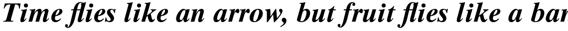 Times Ten Std Bold Italic