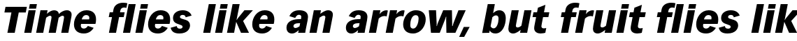 Vectora Std 96 Black Italic
