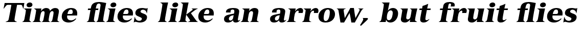 Versailles Std 96 Black Italic