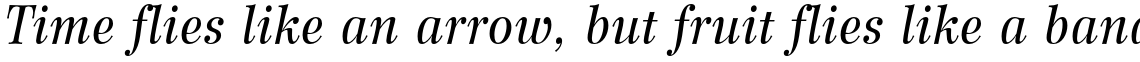 Wilke Std 56 Italic