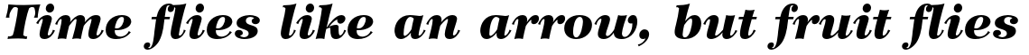 Wilke Std 96 Black Italic