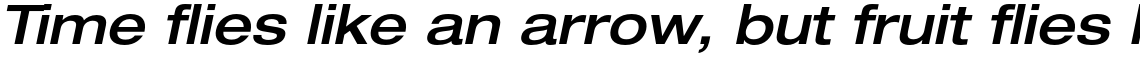 Neue Helvetica Pro 63 Medium Extended Oblique