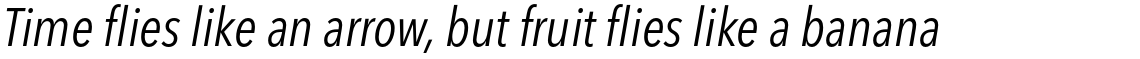 Avenir Next Pro Condensed Italic