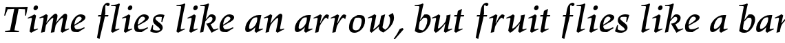 Hawkhurst Std Bold Italic