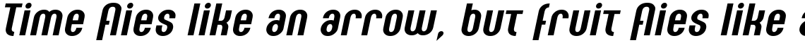 Seebad Std Bold Italic