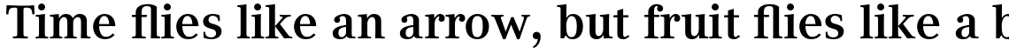 Compatil Text Pro Bold