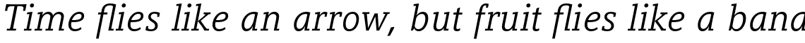 Compatil Letter Pro Italic