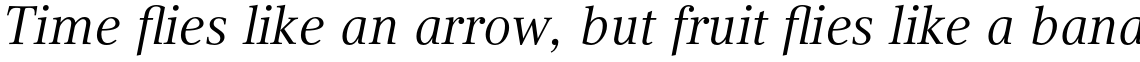 Compatil Text Pro Italic