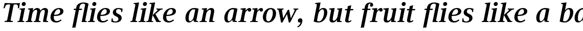 Compatil Text Pro Bold Italic