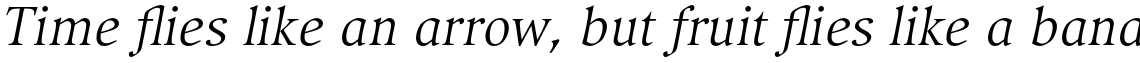 Compatil Exquisit Pro Italic