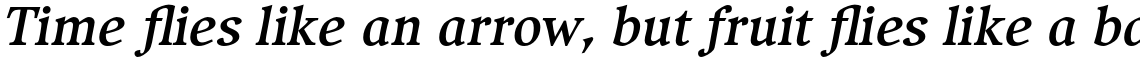 Compatil Exquisit Pro Bold Italic