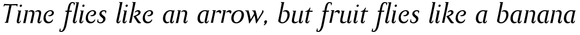 Bodebeck Std Bold Italic