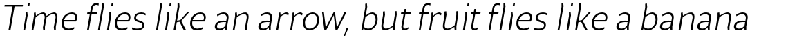 Beret Std Light Italic