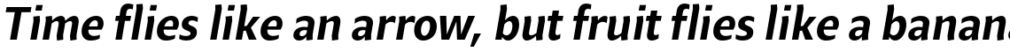 Beret Std Medium Italic