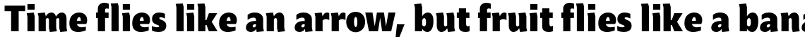 Beret Std Bold
