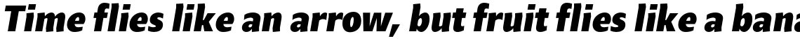 Beret Std Bold Italic