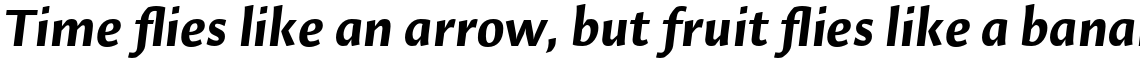 Hildegard Std Bold Italic