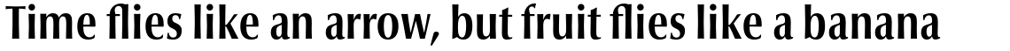 Optima nova Pro Condensed Bold