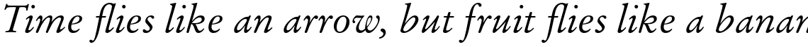 Stempel Garamond Pro Italic